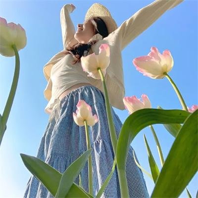 食戟之灵第五季